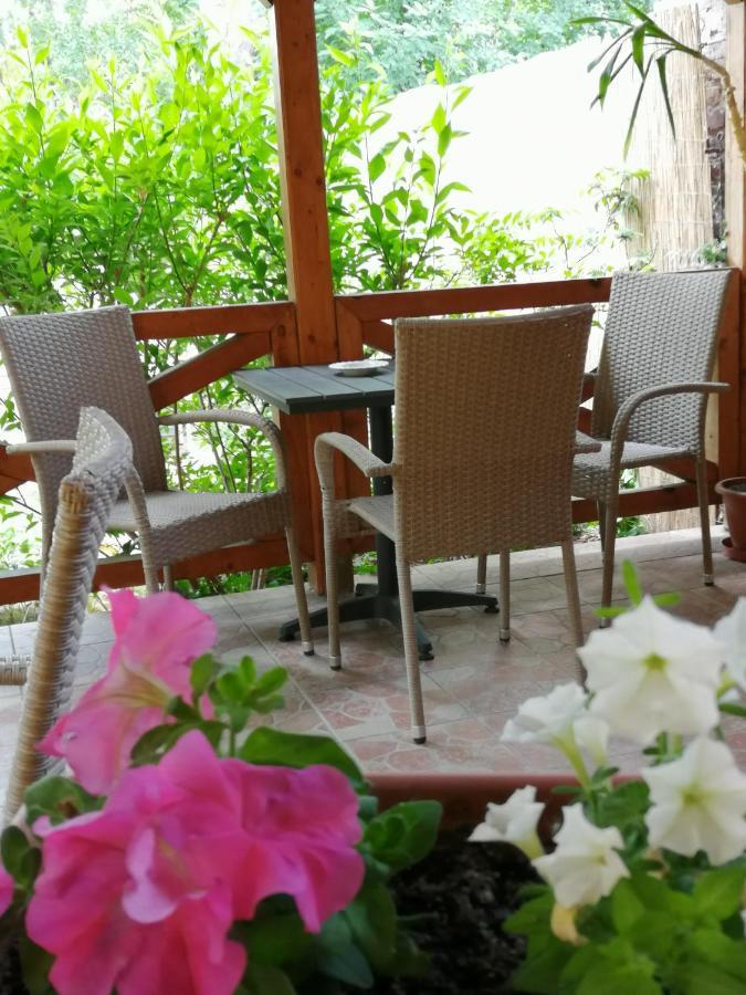 Bed and Breakfast Karpatia Panzio Эстергом Экстерьер фото